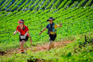 BIB: 3289
                            <button type="button" onclick="openModal(19163338)" class="btn btn-primary btn-sm float-right btn-popup" data-toggle="modal" data-target=".modal-high-quality">
                        <i class="fas fa-shopping-cart"></i> Add to Cart
                    </button>
                                            <button type="button" onclick="isThisMe(19163338, true)" class="btn btn-success btn-sm float-right btn-popup btn-isme hidden" data-toggle="tooltip" data-placement="bottom" title="นี่คือรูปของคุณใช่ไหม คลิกที่นี่เพื่อเอาเข้าอัลบั้ม">
                        <i class="fas fa-plus"></i> Add to album
                    </button>
                    <button type="button" onclick="isThisMe(19163338, false)" class="btn btn-warning btn-sm float-right btn-popup btn-isnotme hidden">
                        <i class="fas fa-ban"></i> Remove from album
                    </button>